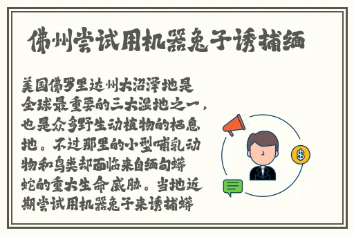 粗长+灌满h双龙h男男猛视频